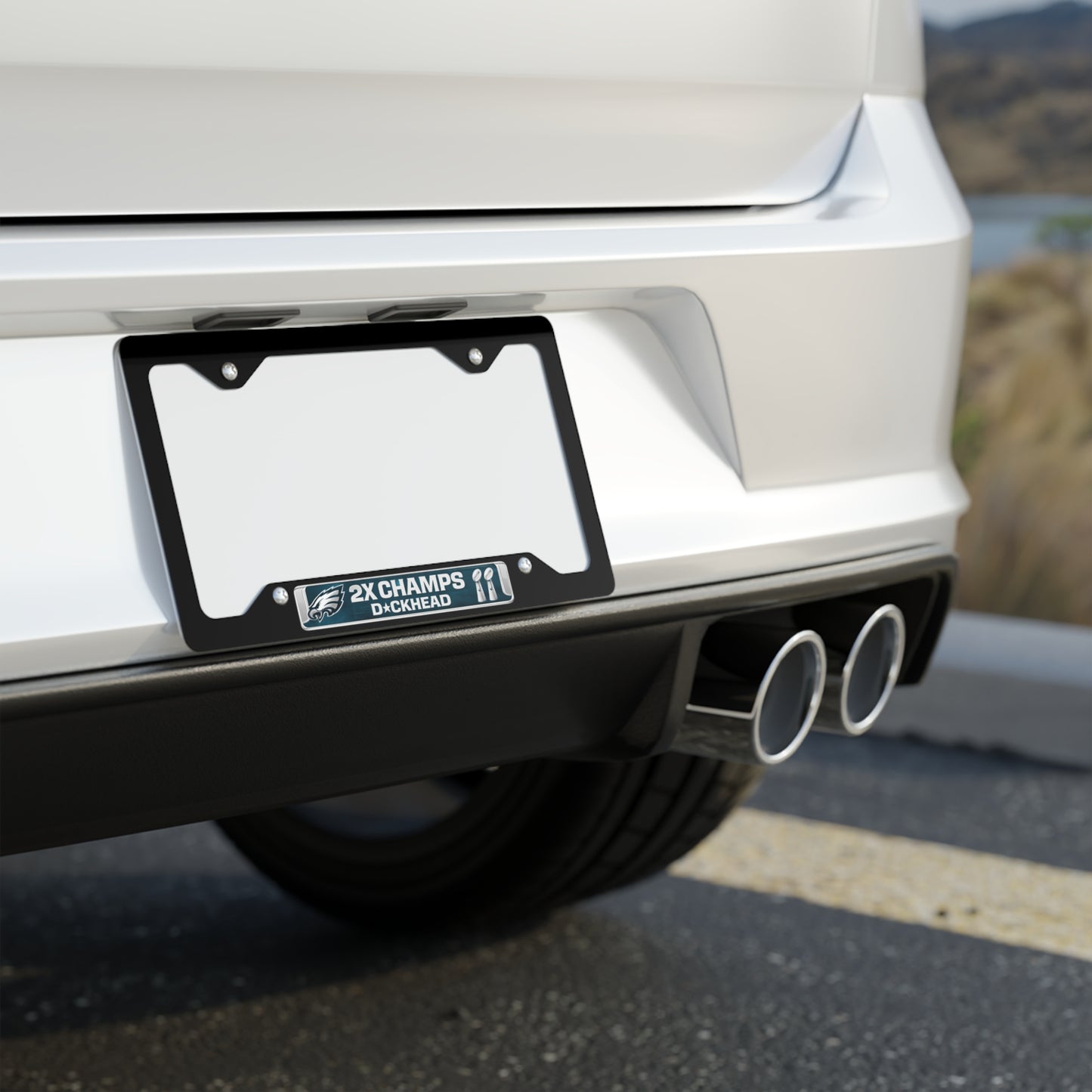 2X CHAMPS D*ckhead License Plate Frame